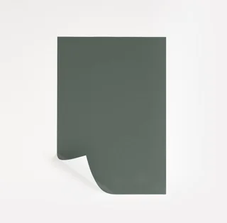 Caldwell Green peel-and-stick paint sample